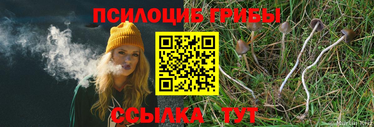 Галлюциногенные грибы Magic Shrooms  Псилоцибиновые грибы мухоморы  Вход с VPN  Нефтекумск 